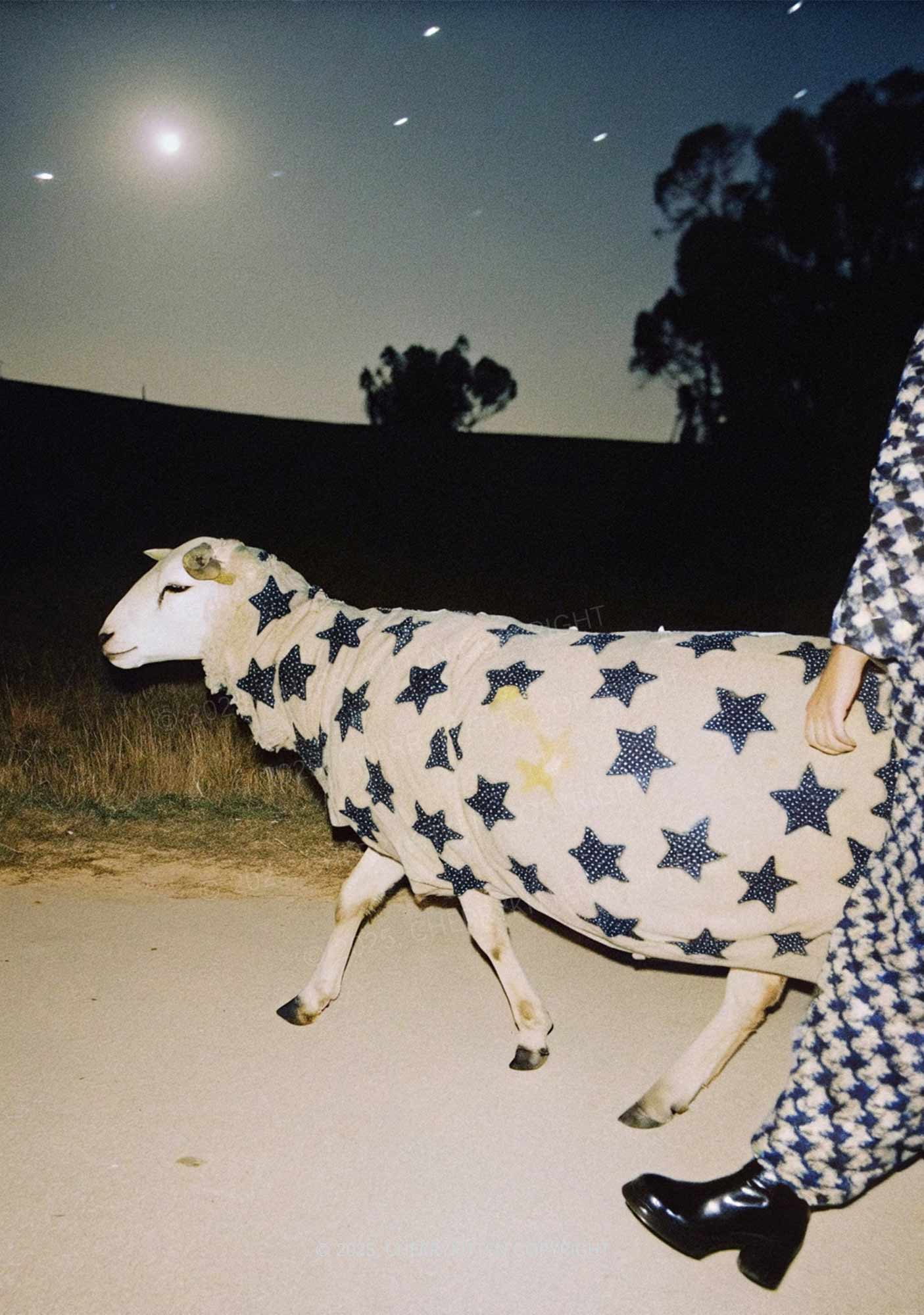Sheep In Star Cloak Y2K Mesh Long Sleeve Crop Top Cherrykitten