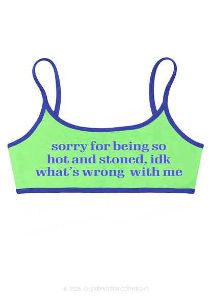 Sorry For Being Hot And Stoned Y2K Super Crop Cami Cherrykitten