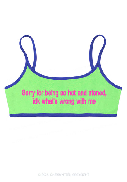 Sorry For Being Hot And Stoned Y2K Super Crop Cami Cherrykitten