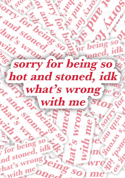 Sorry For Being Hot And Stoned 1Pc Y2K Sticker Cherrykitten