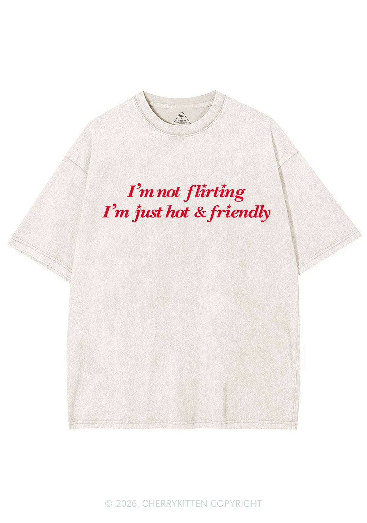 Just Hot And Friendly Y2K Shirts Washed Tee Cherrykitten
