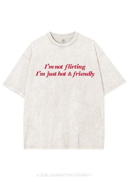 Just Hot And Friendly Y2K Shirts Washed Tee Cherrykitten