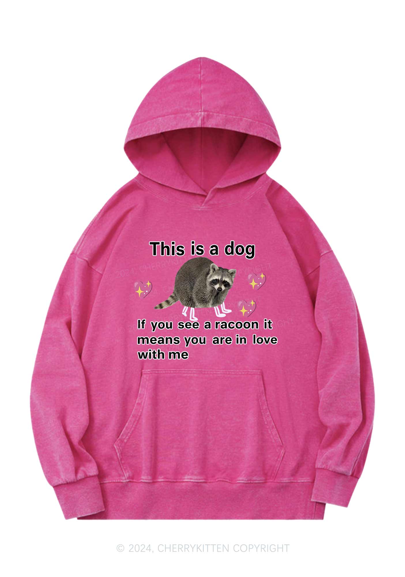 You Are In Love With Me Y2K Washed Hoodie Cherrykitten