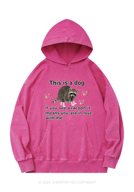 You Are In Love With Me Y2K Washed Hoodie Cherrykitten