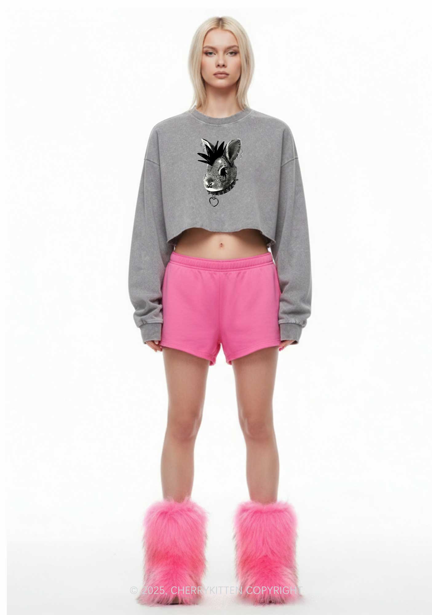 Custom Punk Pet Y2K Crop Washed Sweatshirts Cherrykitten