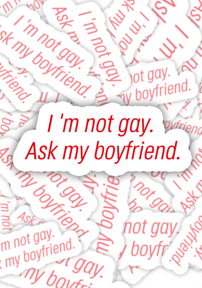 Im Not Gay Pride 1pc Y2K Sticker Cherrykitten