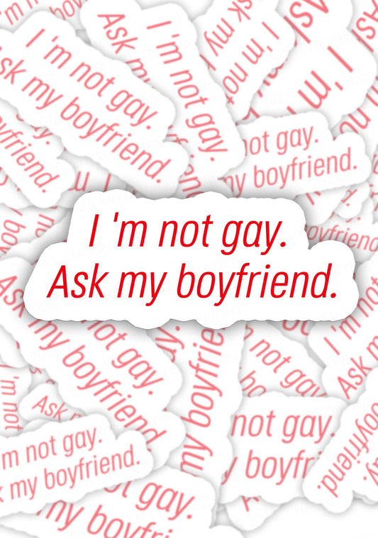 Im Not Gay Pride 1pc Y2K Sticker Cherrykitten
