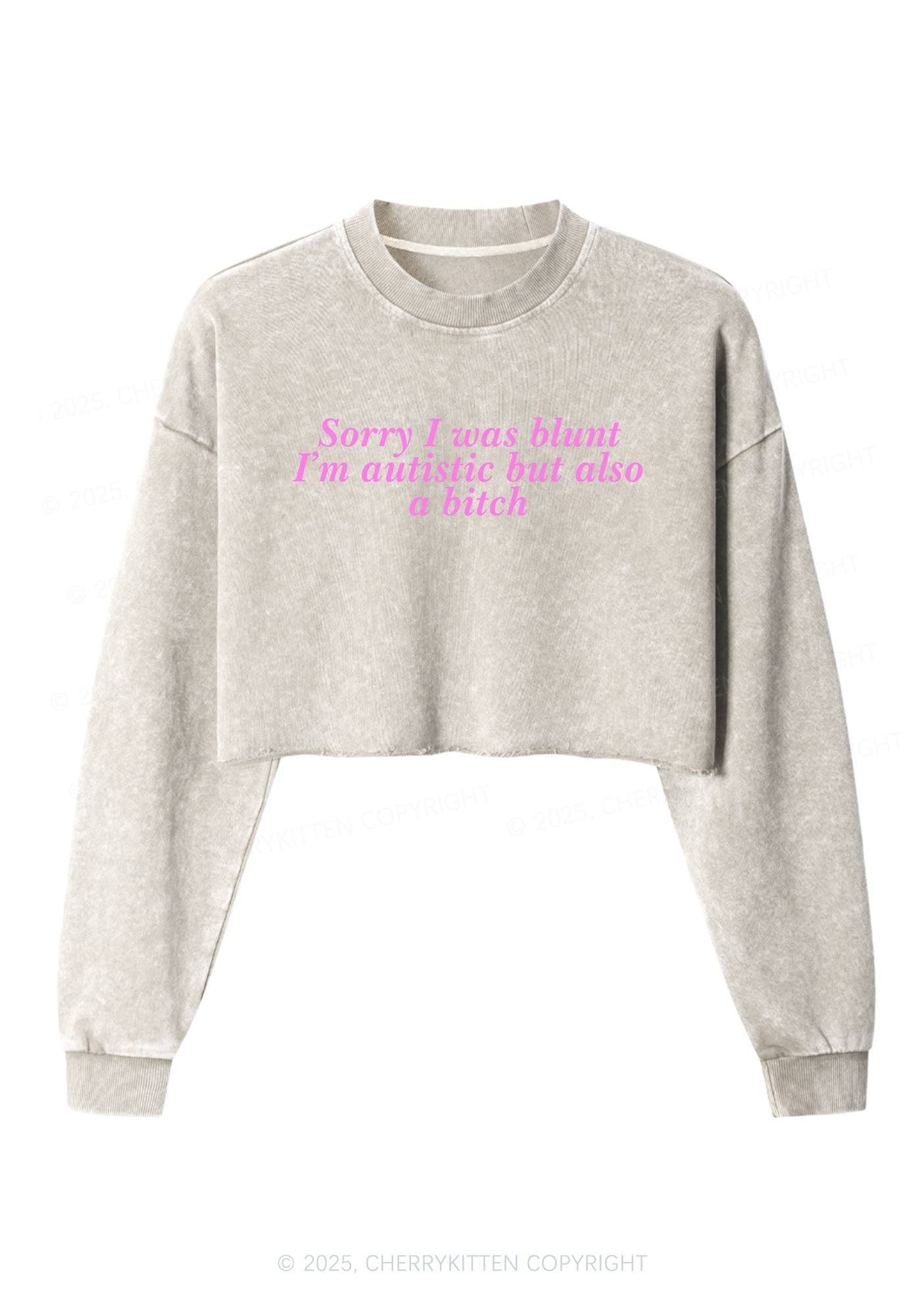 Sorry I Was Blunt Y2K Crop Washed Sweatshirts Cherrykitten
