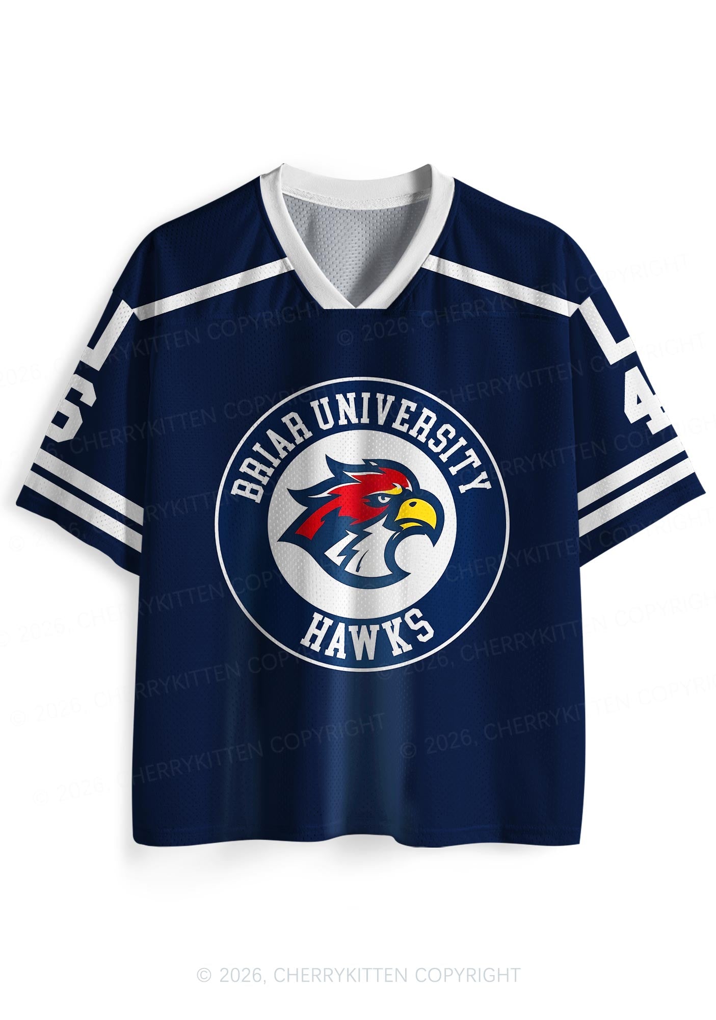College Hockey Team JT Y2K Sport Jersey Shirts Cherrykitten