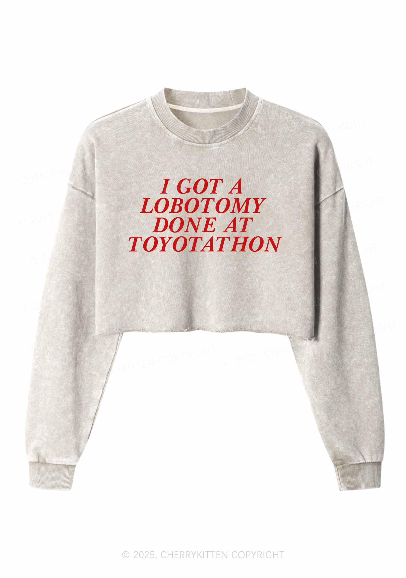 Lobotomy At Toyotathon Y2K Crop Washed Sweatshirts Cherrykitten