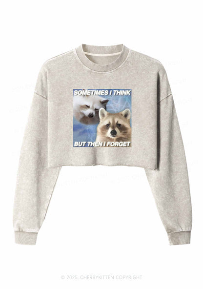 Raccoon Sometimes Think Y2K Crop Washed Sweatshirts Cherrykitten