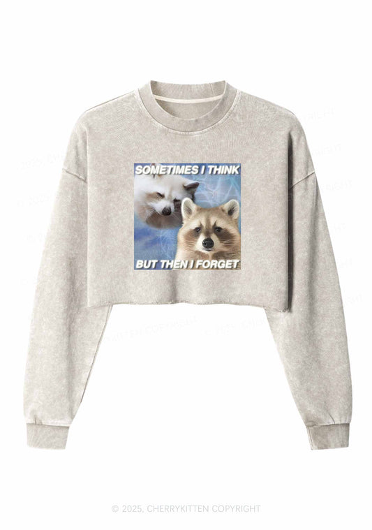 Raccoon Sometimes Think Y2K Crop Washed Sweatshirts Cherrykitten