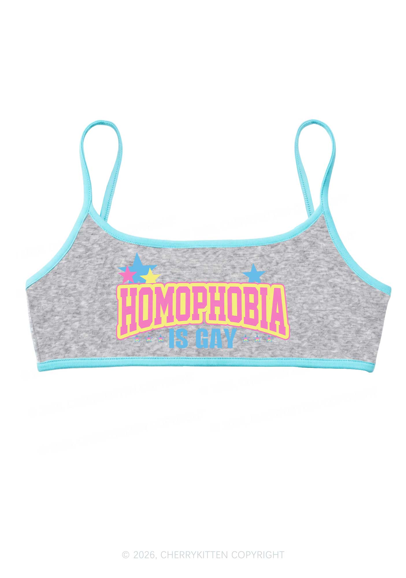 Homophobia Is Gay Pride Y2K Super Crop Cami Cherrykitten