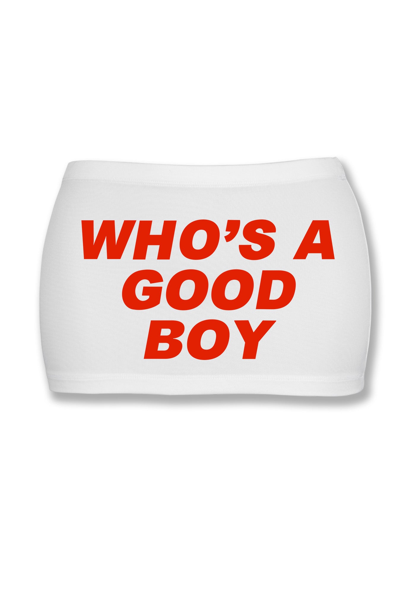 Who's A Good Boy Y2K Mini Hip Skirt Cherrykitten