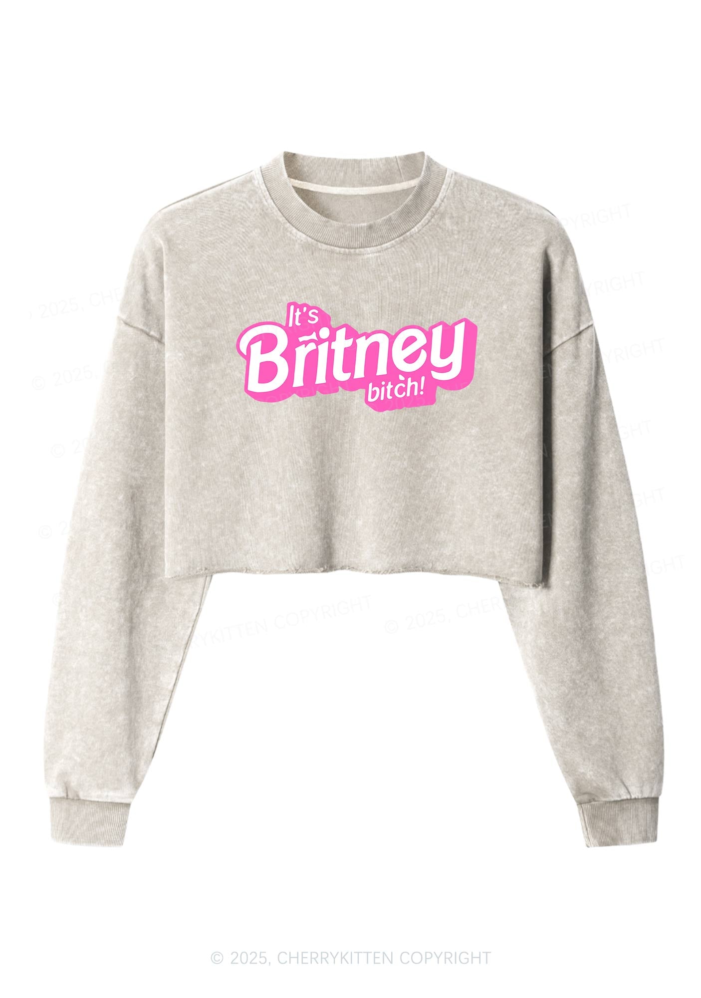 Its Britney Bixch Y2K Crop Washed Sweatshirts Cherrykitten