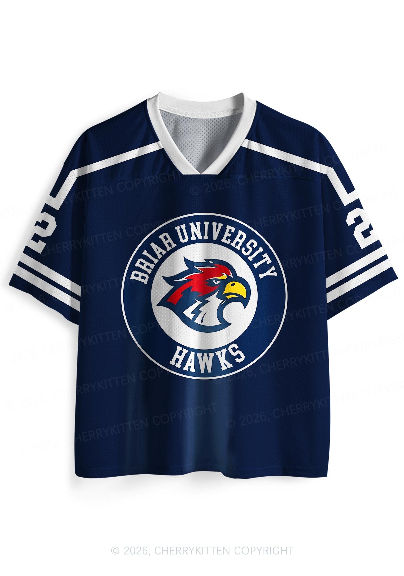 College Hockey Team JL Y2K Sport Jersey Shirts Cherrykitten