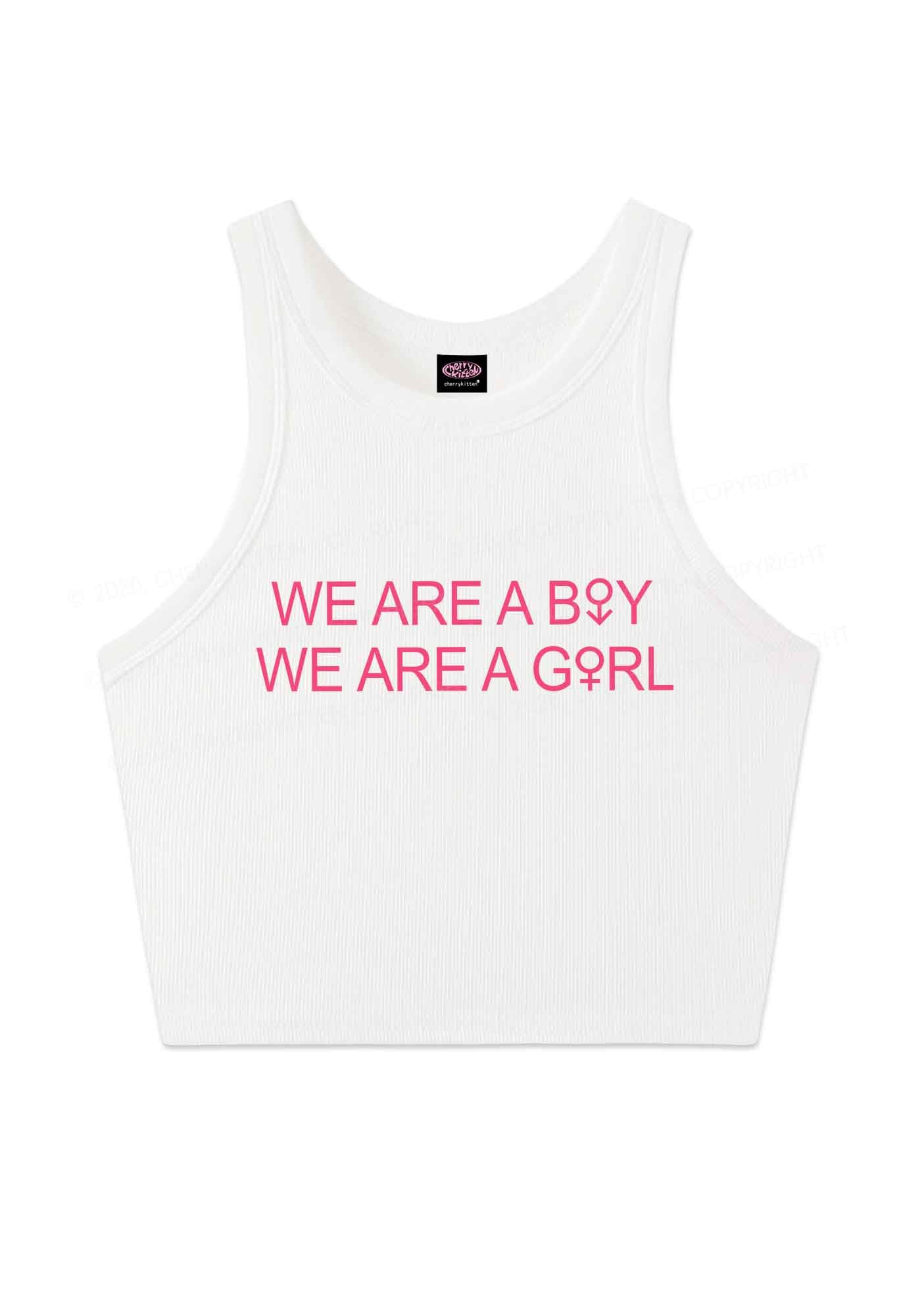 We Are A Boy Pride Y2K Crop Tank Top Cherrykitten
