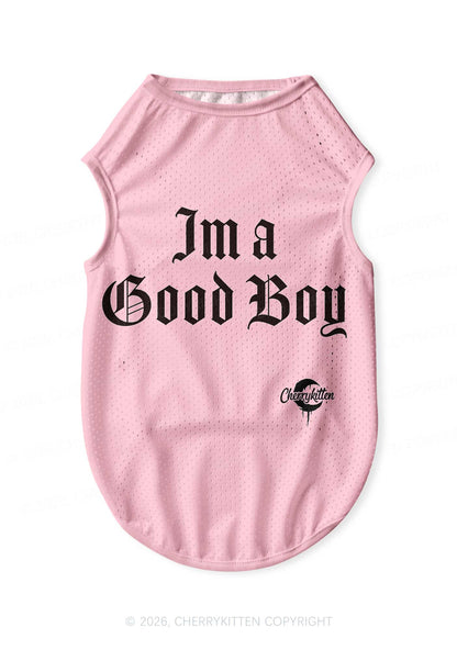 I Am A Good Boy Y2K Pet Jersey Cherrykitten