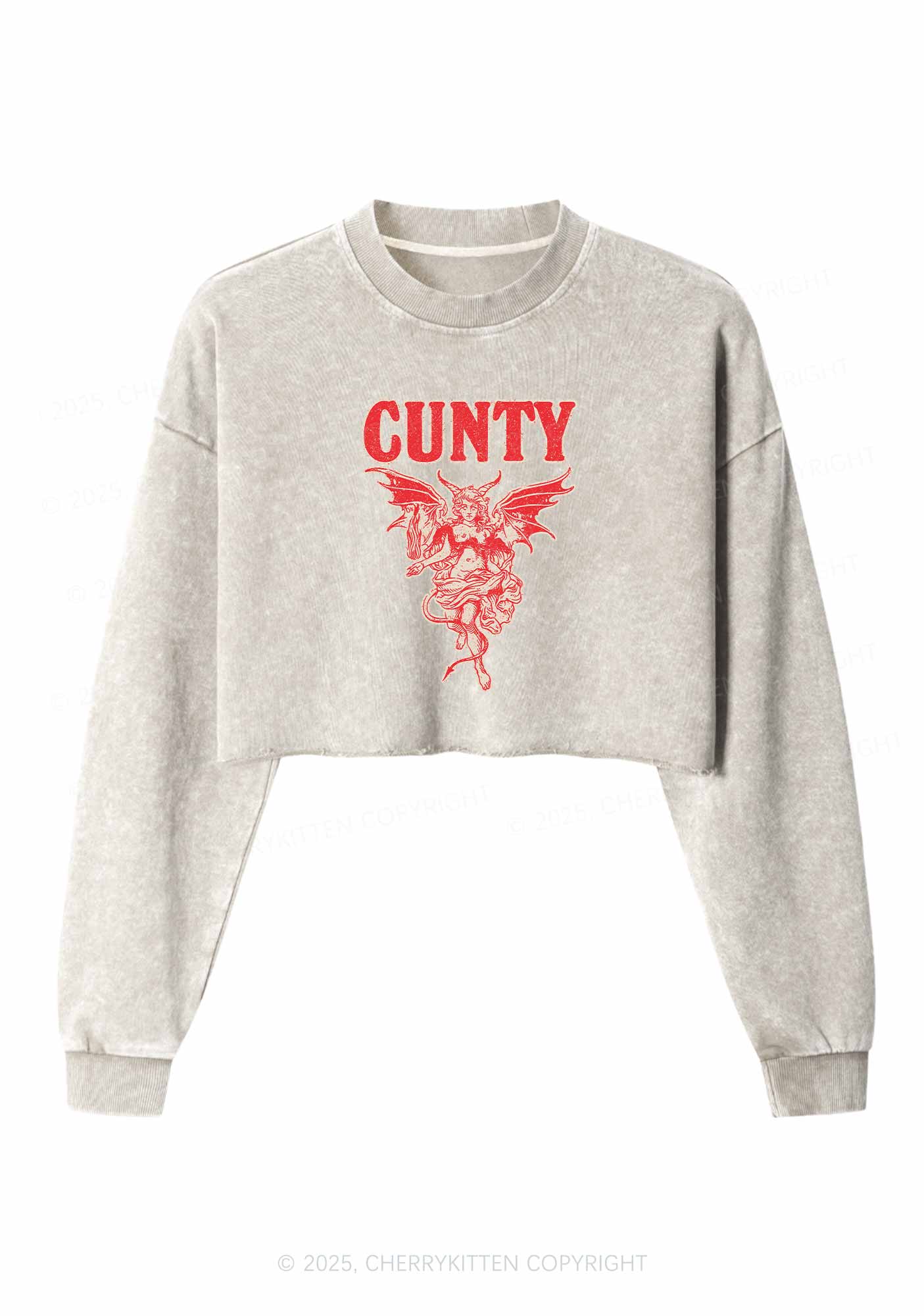 Cunty Satan Y2K Crop Washed Sweatshirts Cherrykitten