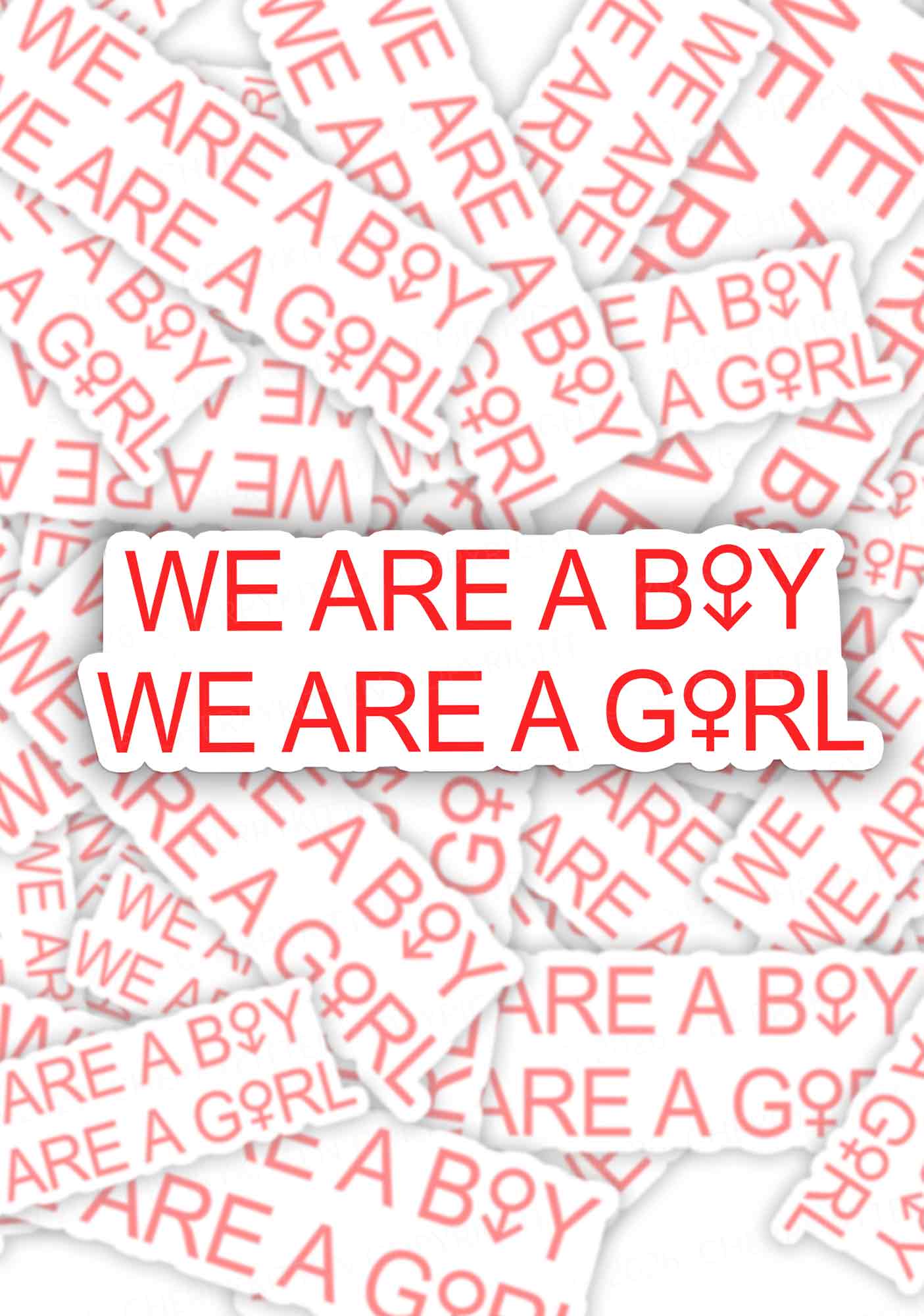 We Are A Boy Pride 1pc Y2K Sticker Cherrykitten