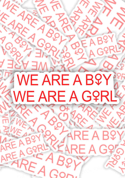 We Are A Boy Pride 1pc Y2K Sticker Cherrykitten