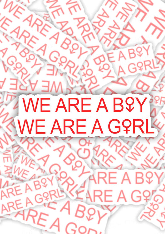 We Are A Boy Pride 1pc Y2K Sticker Cherrykitten