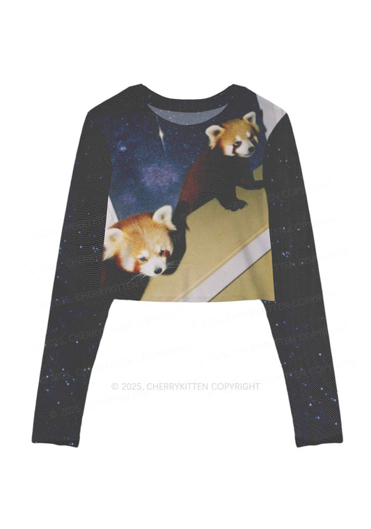 Raccoon Friends Y2K Mesh Long Sleeve Crop Top Cherrykitten