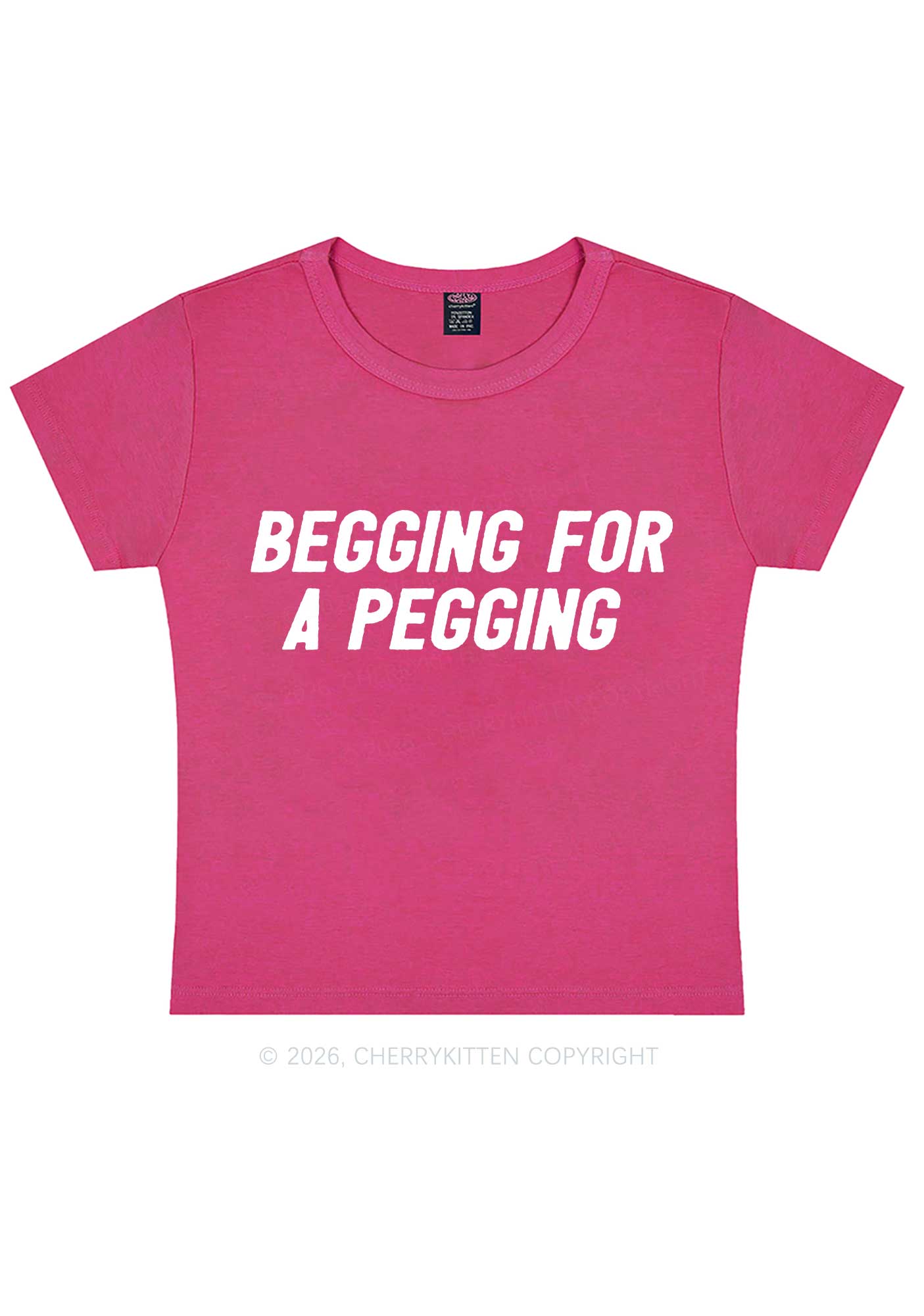 Begging For A Pegging Y2K Baby Tee Cherrykitten