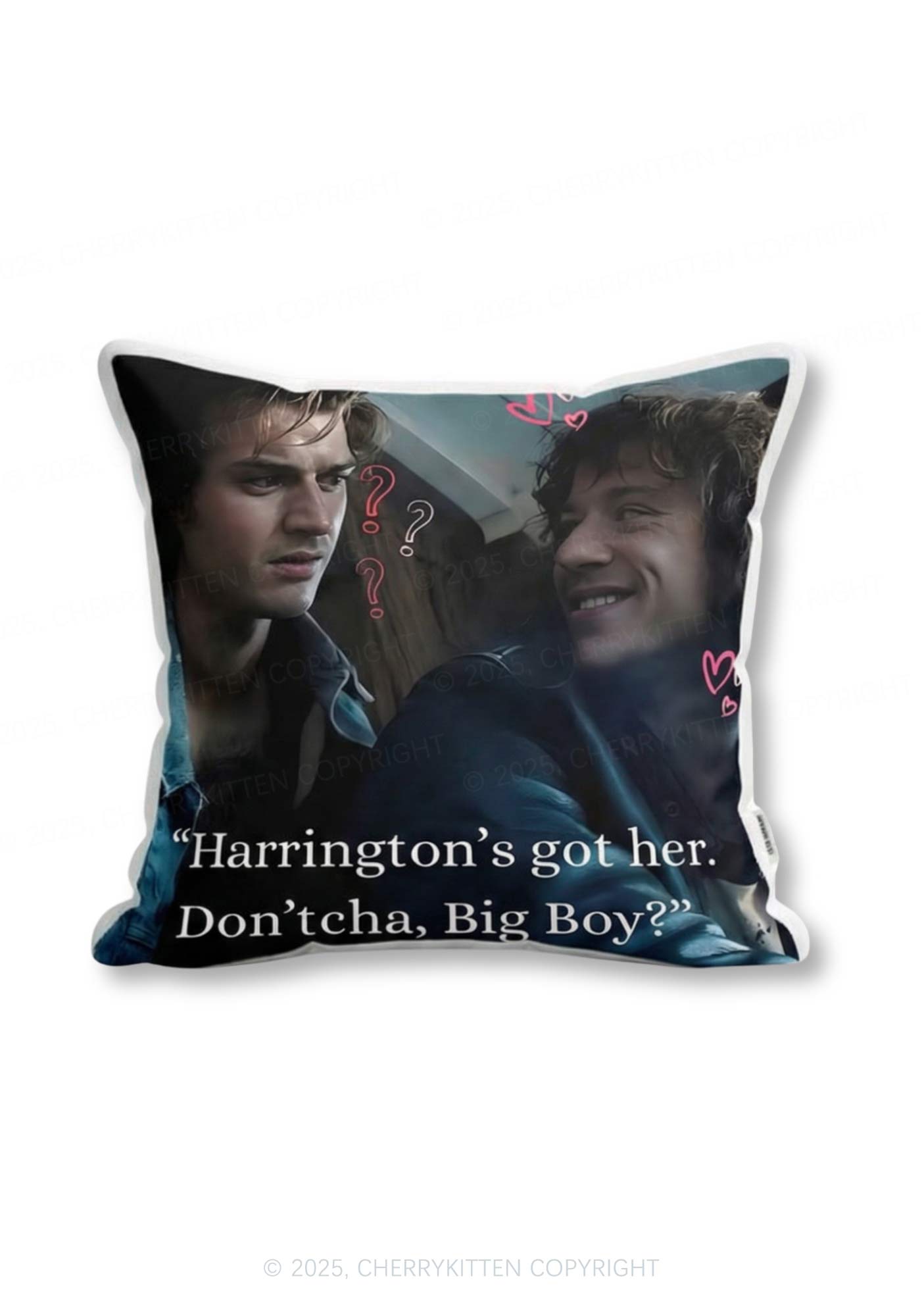 Big Boy Got Her Y2K Ugly Pillow Cherrykitten