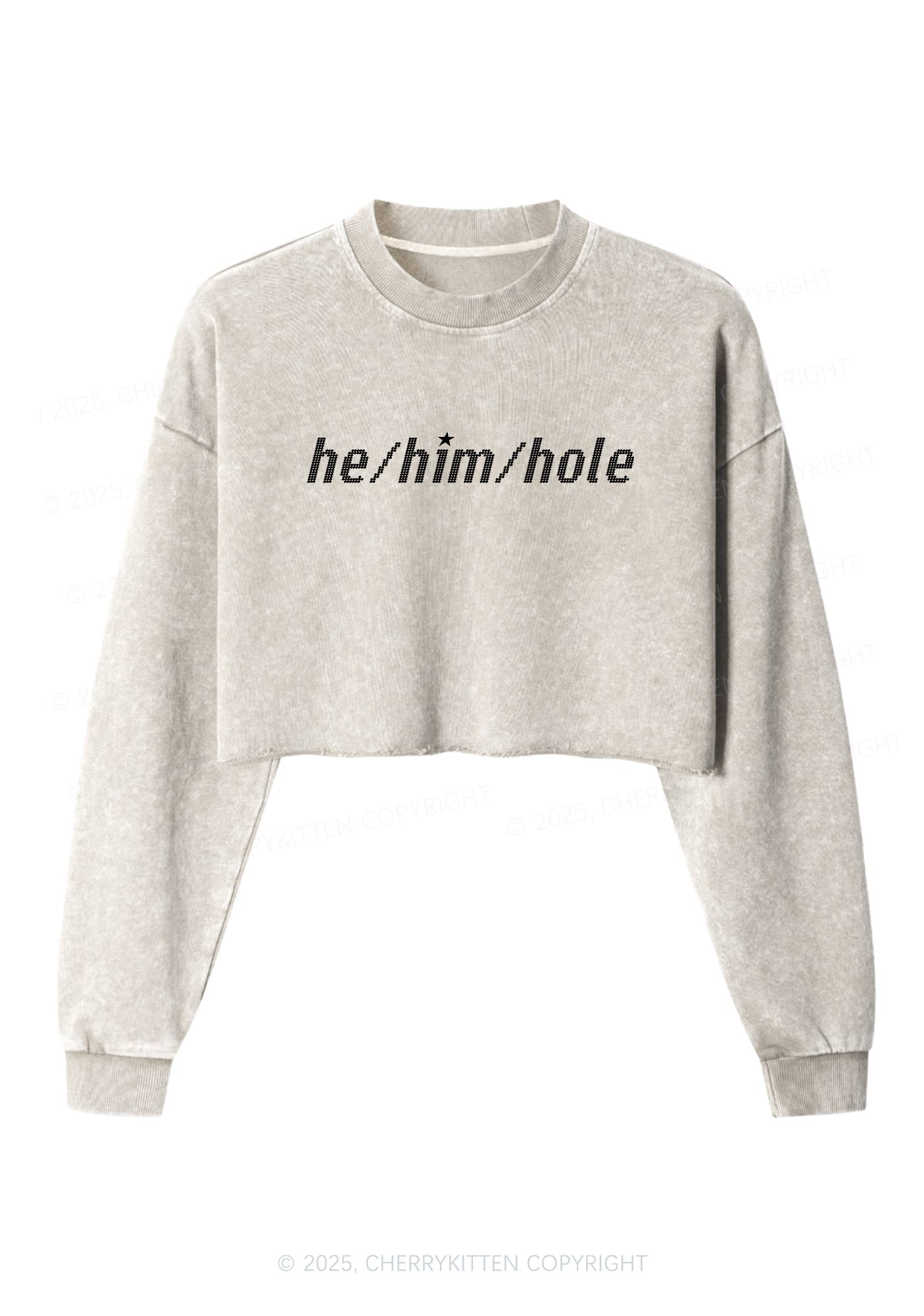 He Him Hole Pride Y2K Crop Washed Sweatshirts Cherrykitten