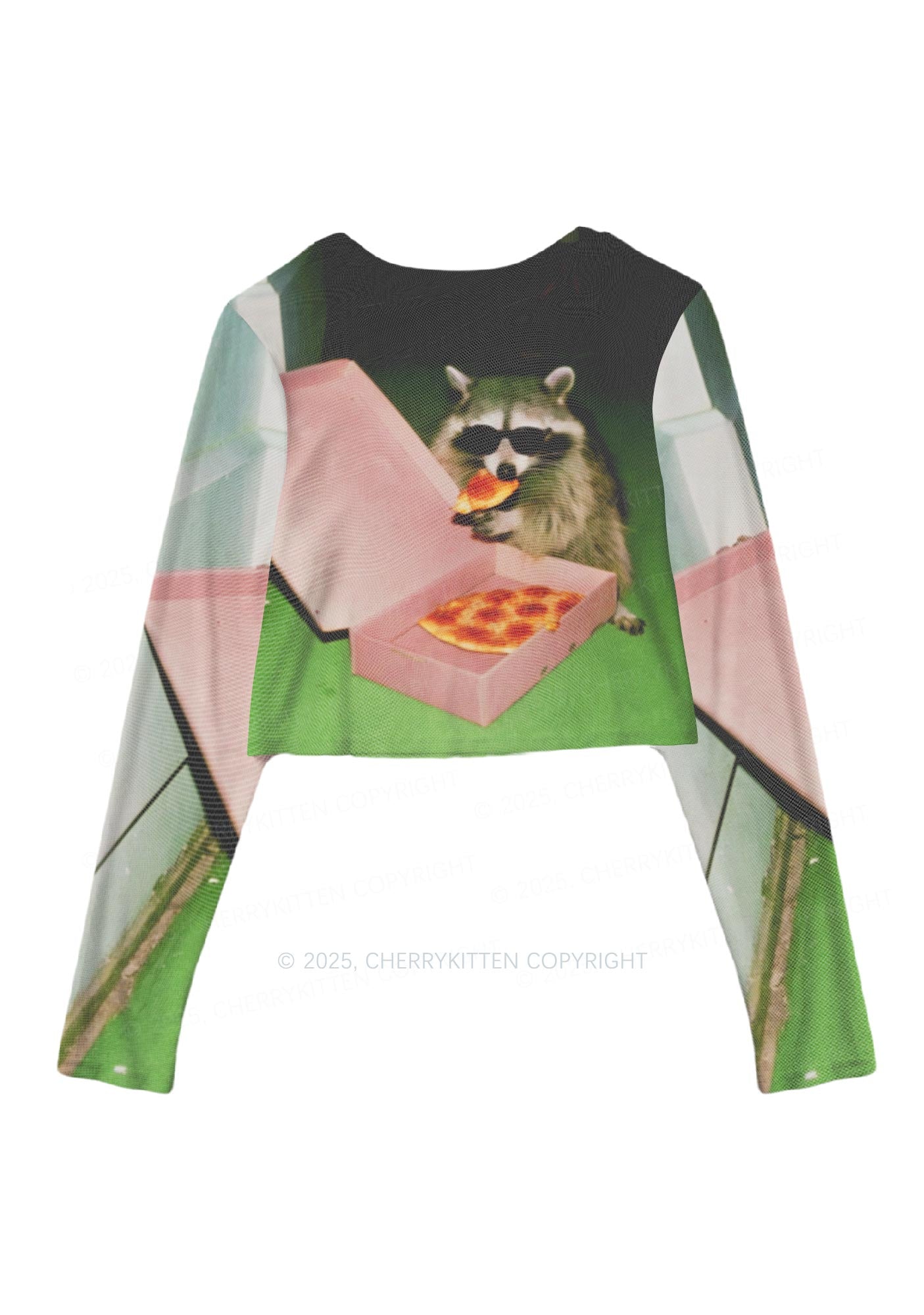Shades Raccoon Pizza Y2K Mesh Long Sleeve Crop Top Cherrykitten