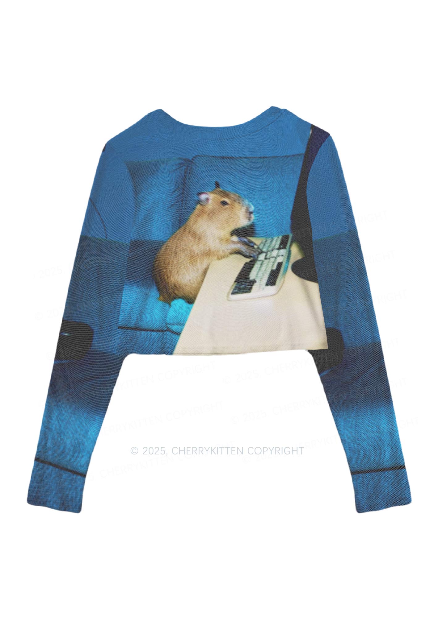 Keyboard Capybara Y2K Mesh Long Sleeve Crop Top Cherrykitten
