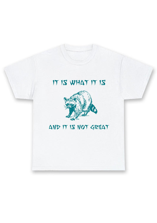 It Is What It Is And It Is Not Great Chunky Shirt