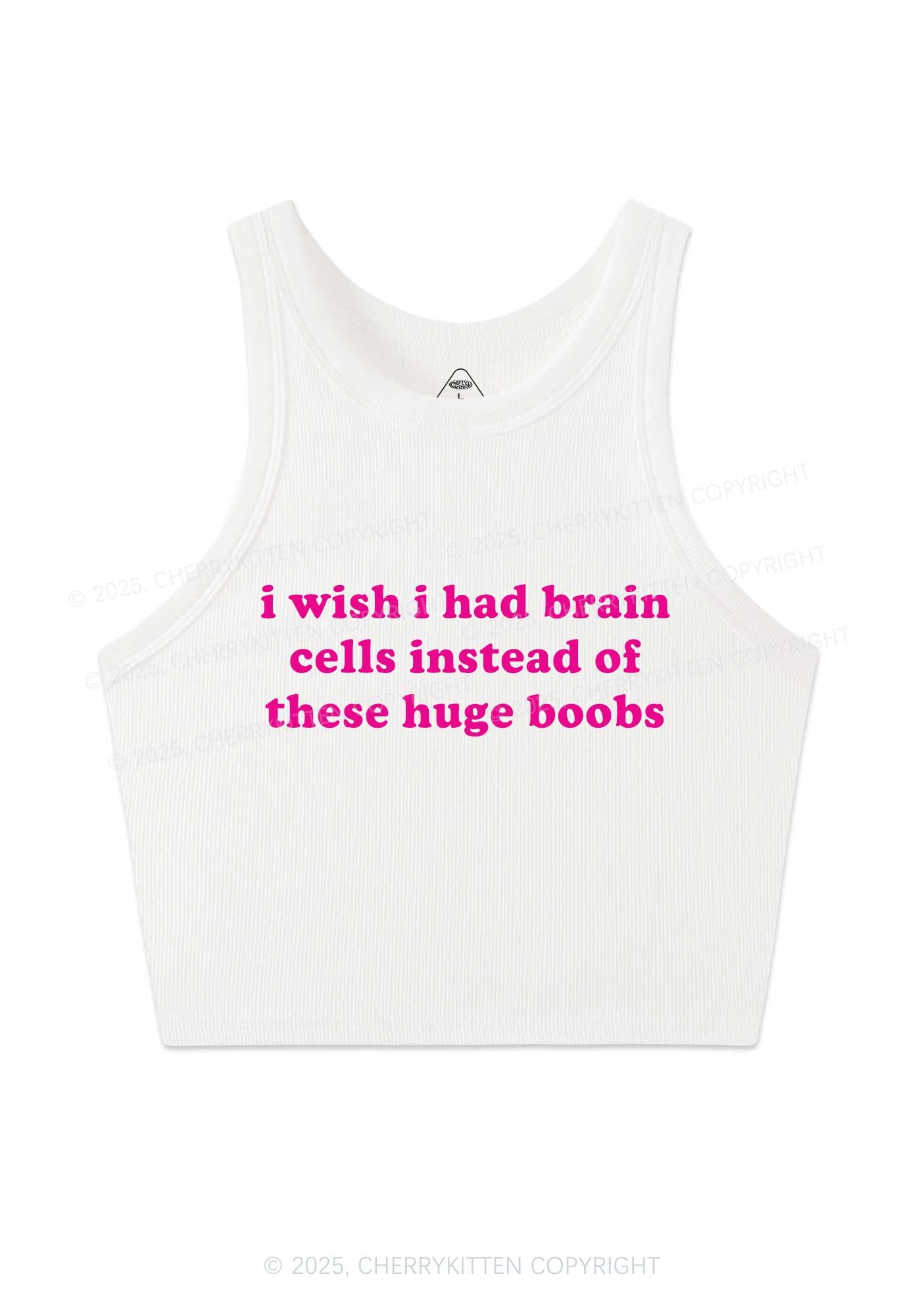 I Had Brain Cells Y2K Crop Tank Top Cherrykitten