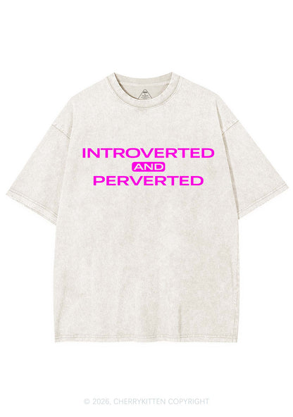 Introverted And Perverted Y2K Shirts Washed Tee Cherrykitten