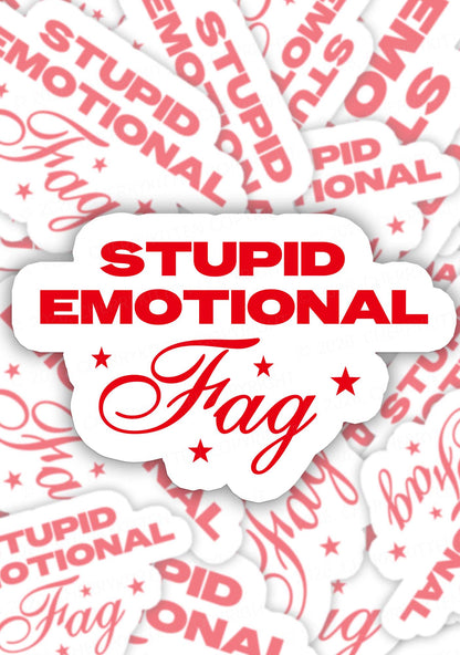 Stupid Emotional Fag Pride 1pc Y2K Sticker Cherrykitten