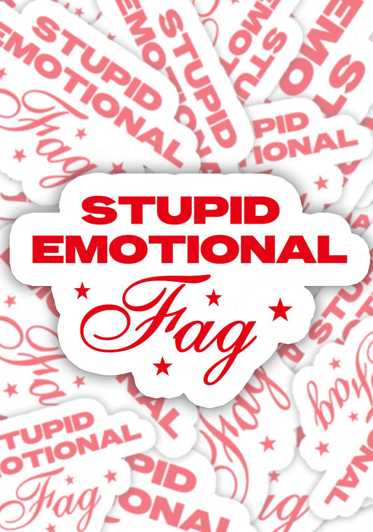 Stupid Emotional Fag Pride 1pc Y2K Sticker Cherrykitten