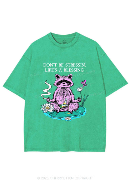 Dont Stress Raccoon Y2K Shirts Washed Tee Cherrykitten