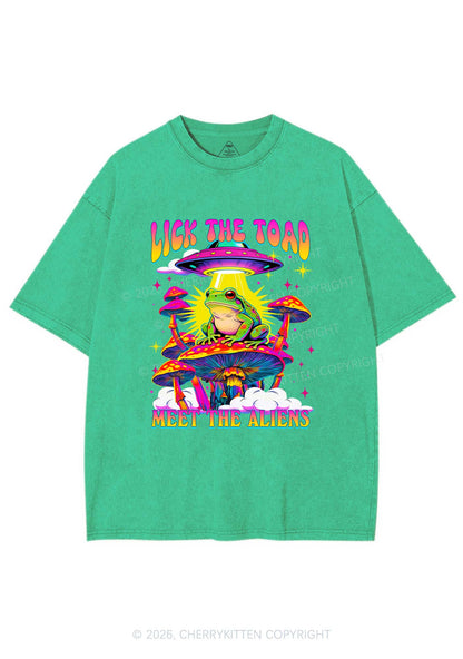 Lick The Toad Y2K Shirts Washed Tee Cherrykitten