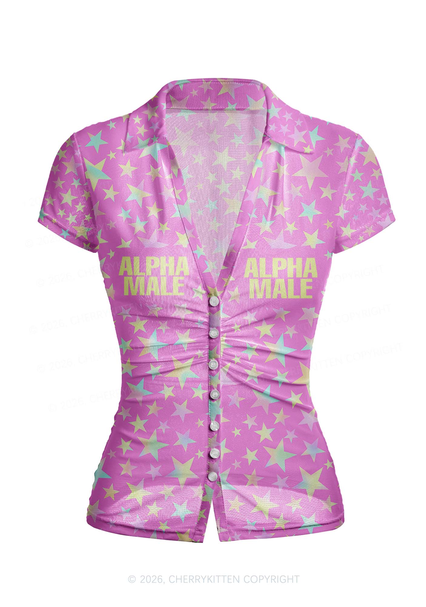 Hot Pink Alpha Male Pride Y2K Mesh Ruched  Waist  V Neck Top Cherrykitten