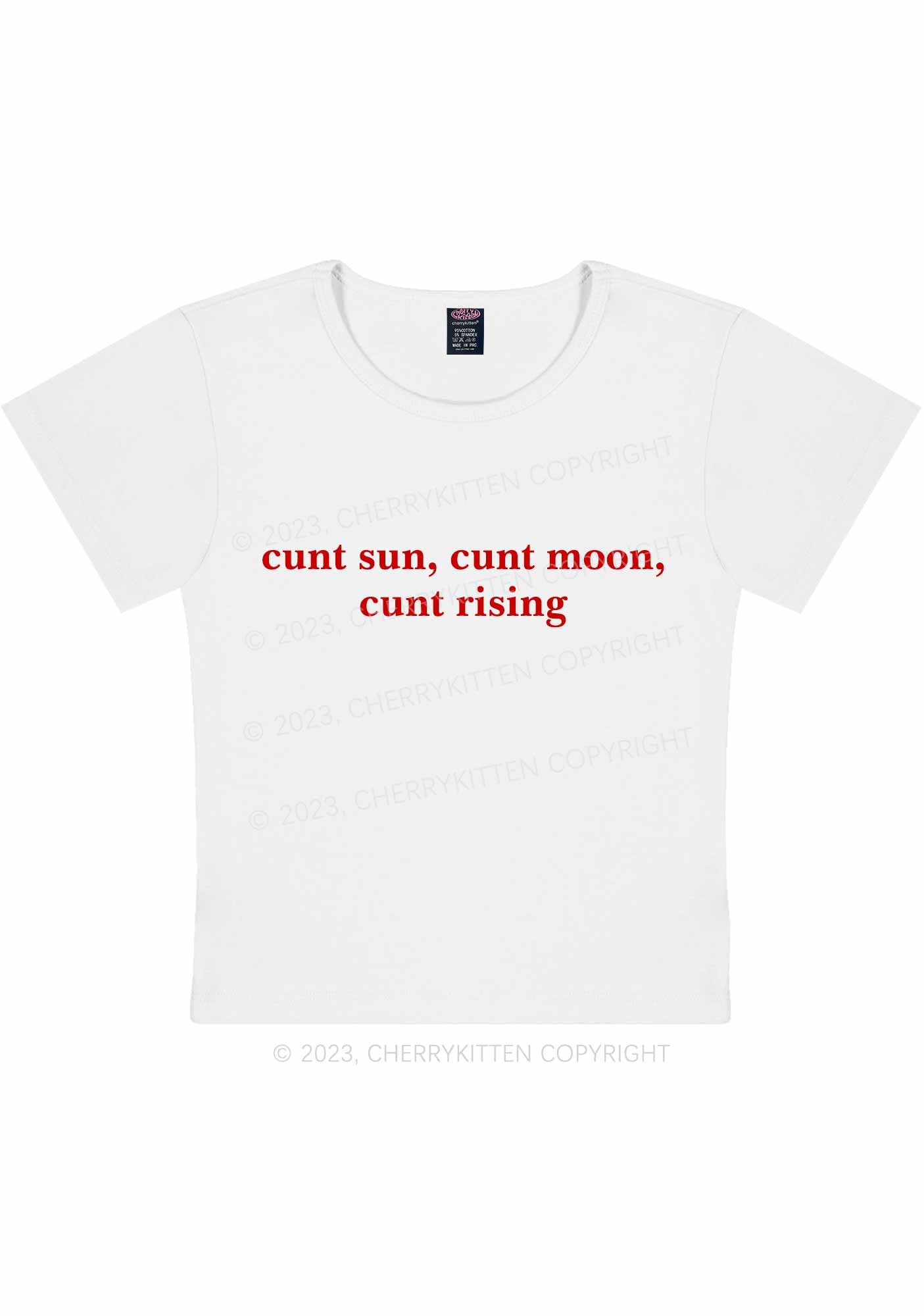 Sun Moon Rising Y2K Baby Tee Cherrykitten