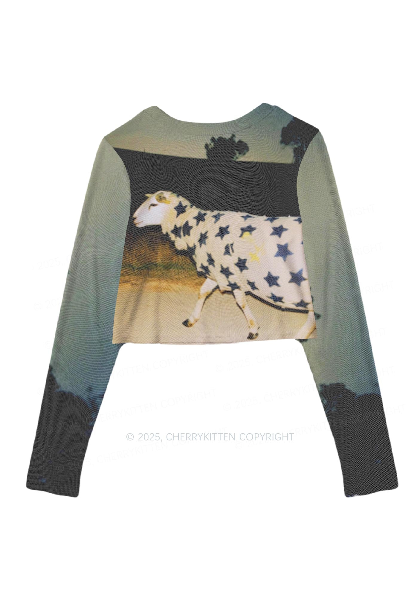 Sheep In Star Cloak Y2K Mesh Long Sleeve Crop Top Cherrykitten