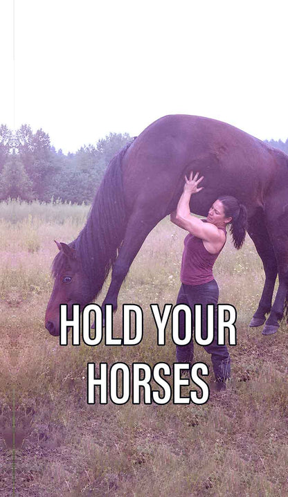 Hold Your Horses Y2K Phone Case Cherrykitten