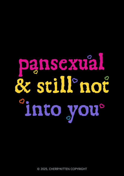 Pansexual Still Not Into You Pride 1Pc Y2K Pin Badge Cherrykitten