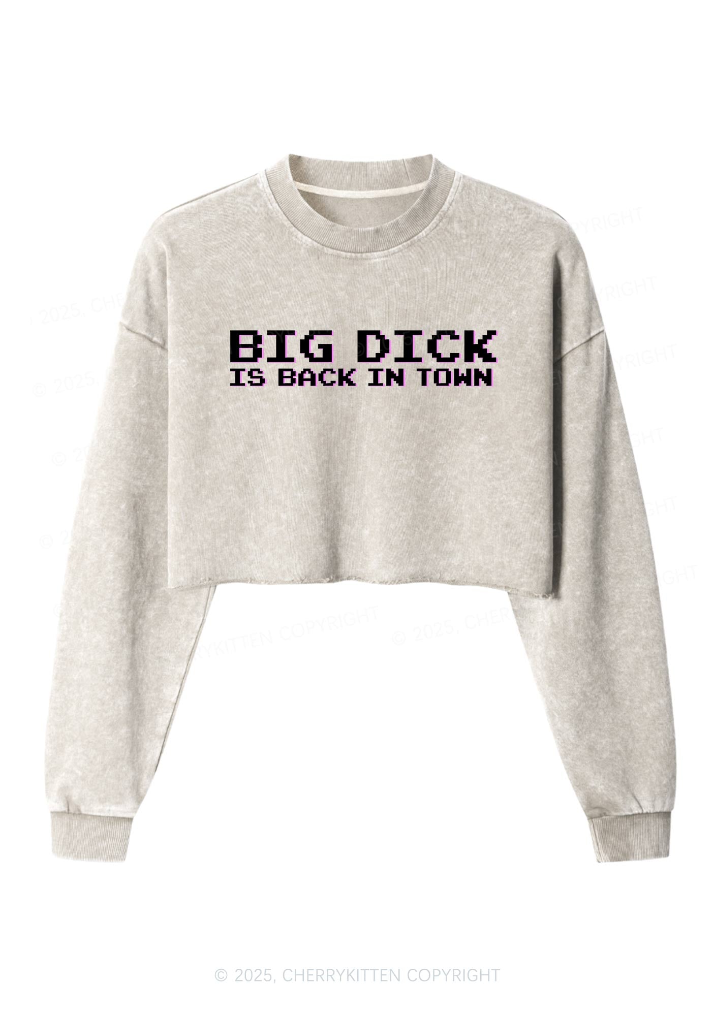 Big Is Back In Town Y2K Crop Washed Sweatshirts Cherrykitten