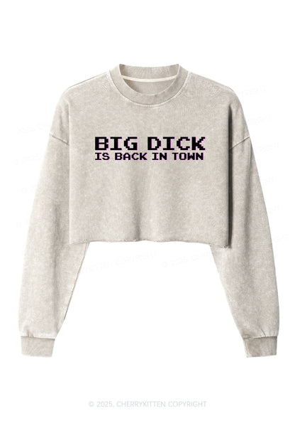 Big Is Back In Town Y2K Crop Washed Sweatshirts Cherrykitten