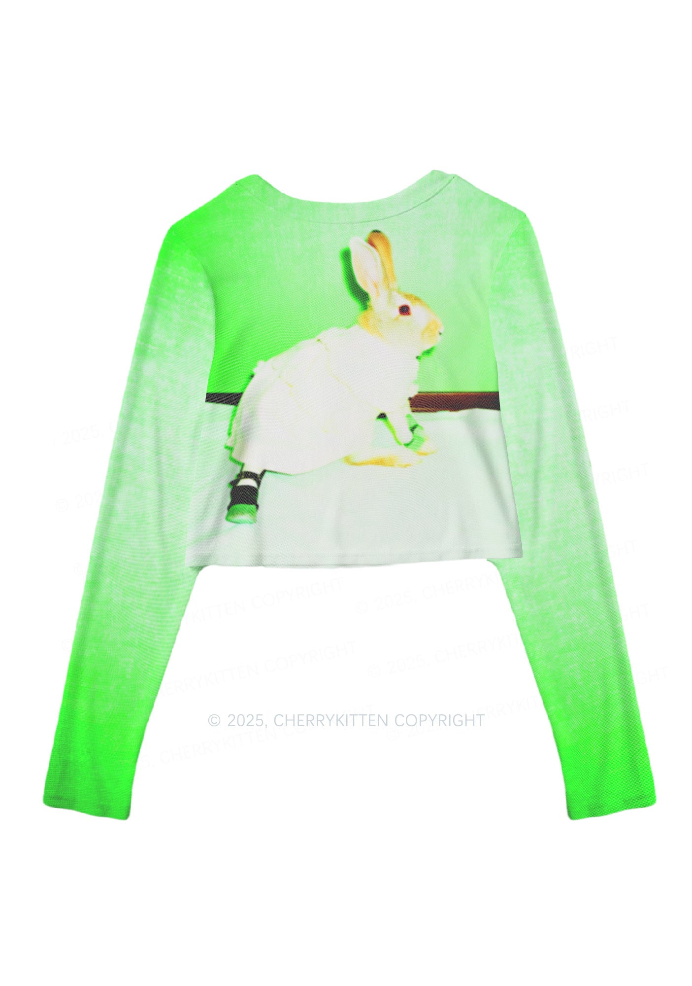 Red Eyed Rabbit Y2K Mesh Long Sleeve Crop Top Cherrykitten