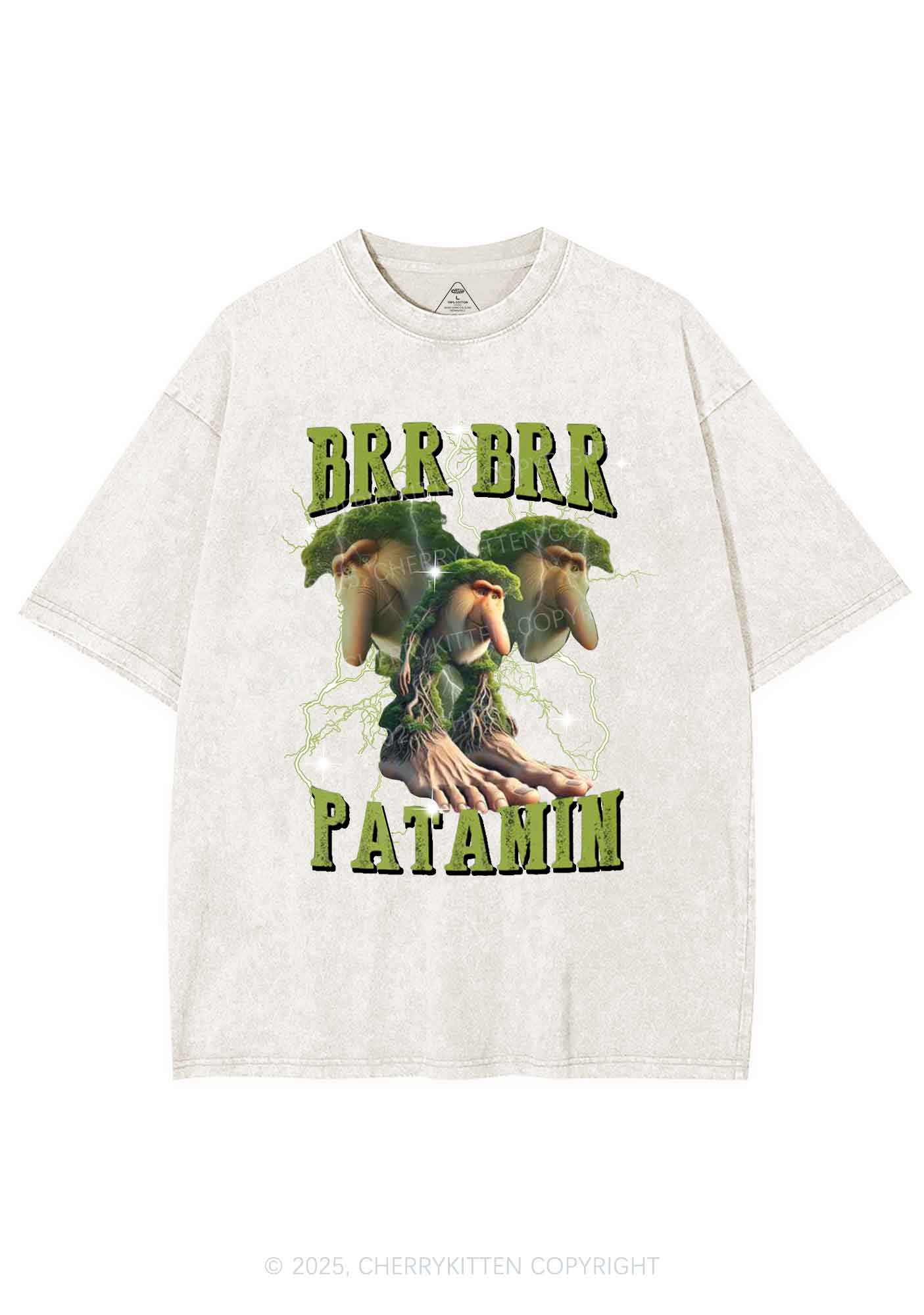 Brr Brr Patapim Italian Brainrot Shirt Y2K Shirts Washed Tee Cherrykitten