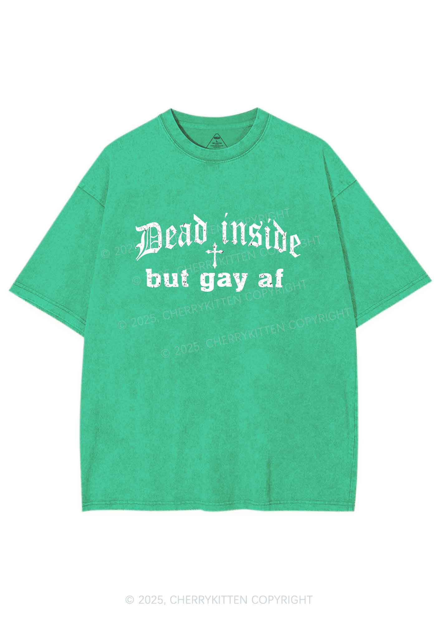 Dead Inside But Gay AF Pride Y2K Shirts Washed Tee Cherrykitten