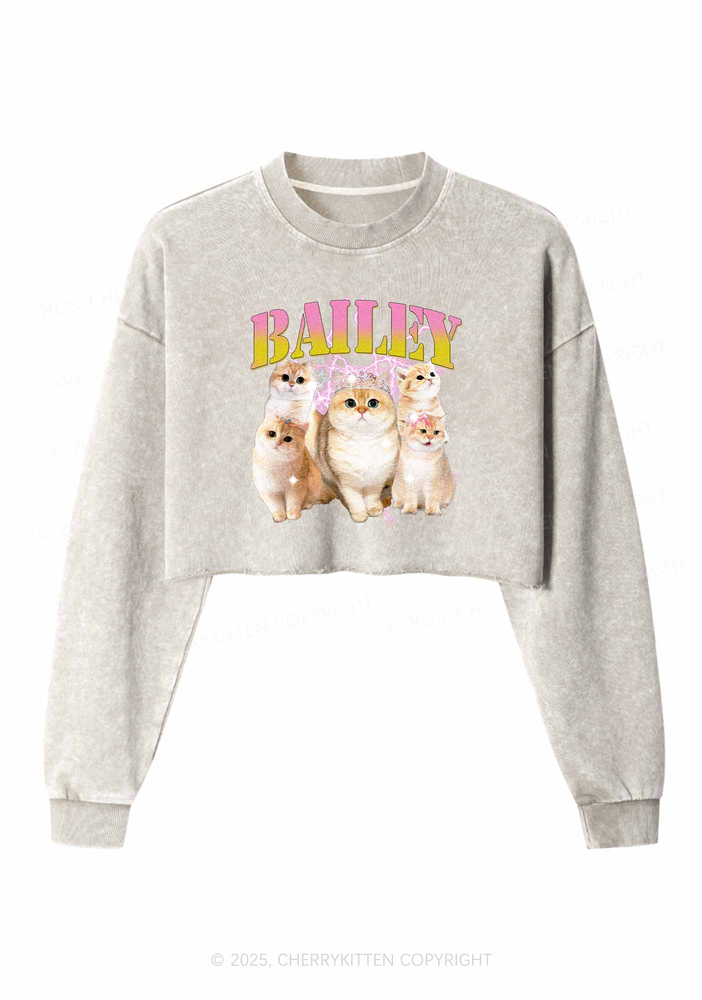 Custom Cat Photo Y2K Crop Washed Sweatshirts Cherrykitten